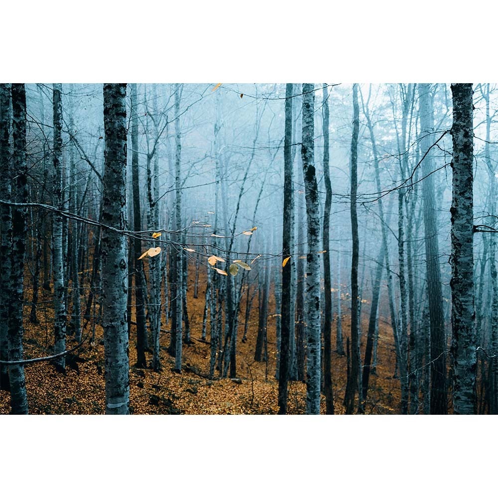 Sonbahar Yaprakları 3 (30x45 cm)