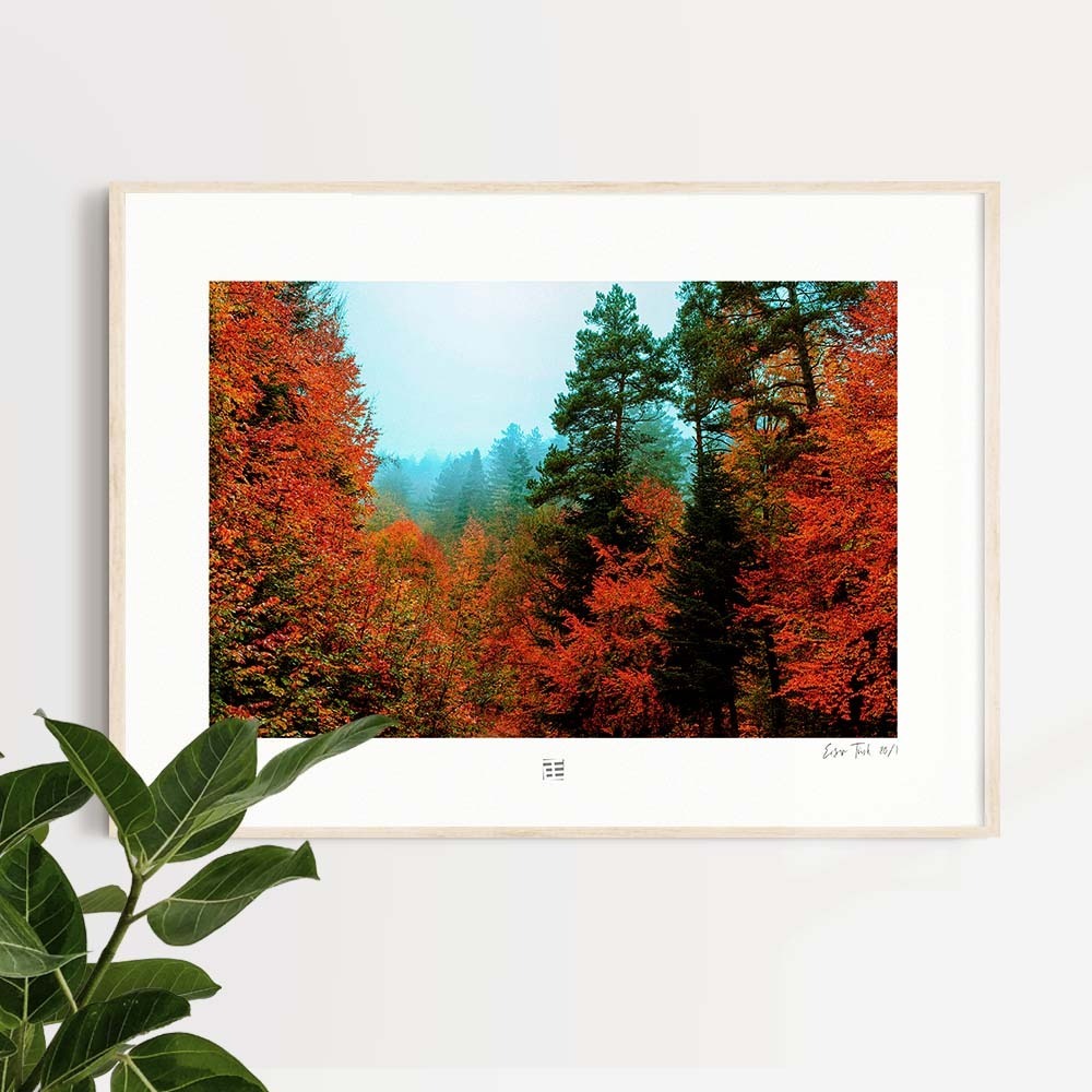 Sonbahar Ağaçları 2 (30x45 cm)