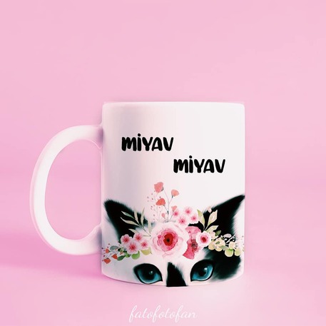Kedicik Kupa /miyav/kedi 