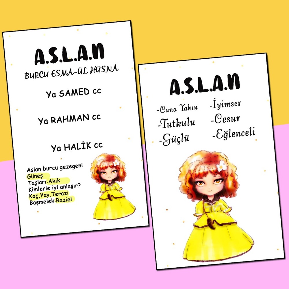 Aslan Burcu Olumlama Mini Set