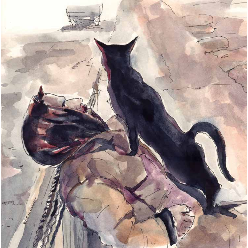 Elif Nurşad - AŞIK KEDİ