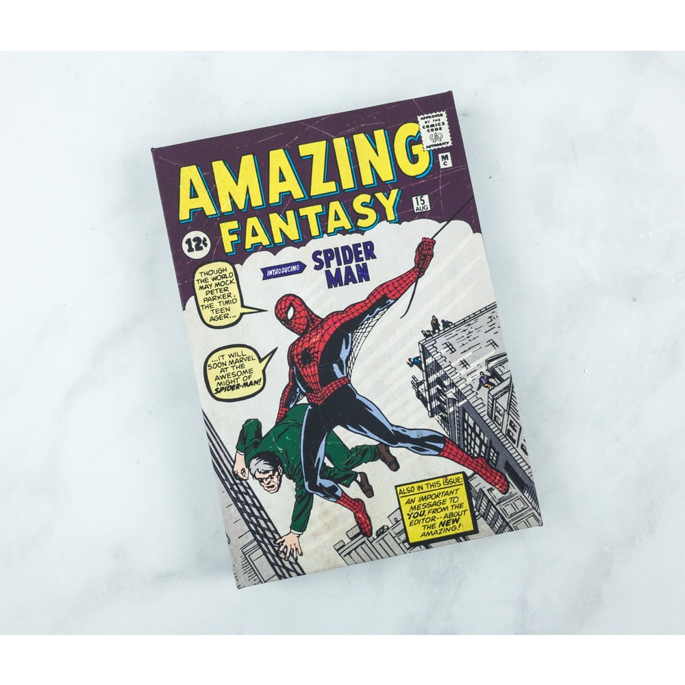 Amazing Fantasy 1. sayısı Canvas Baskı çerçeveli retro Art print / Poster