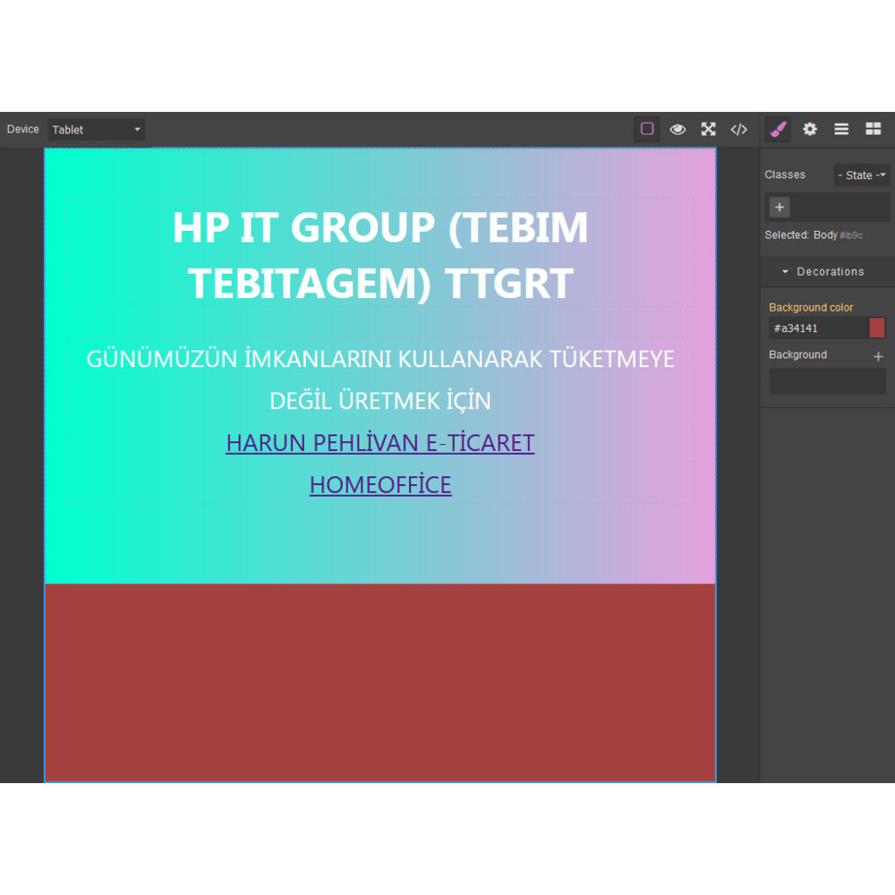  WEB EDİTÖR 