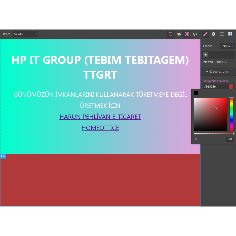  WEB EDİTÖR 
