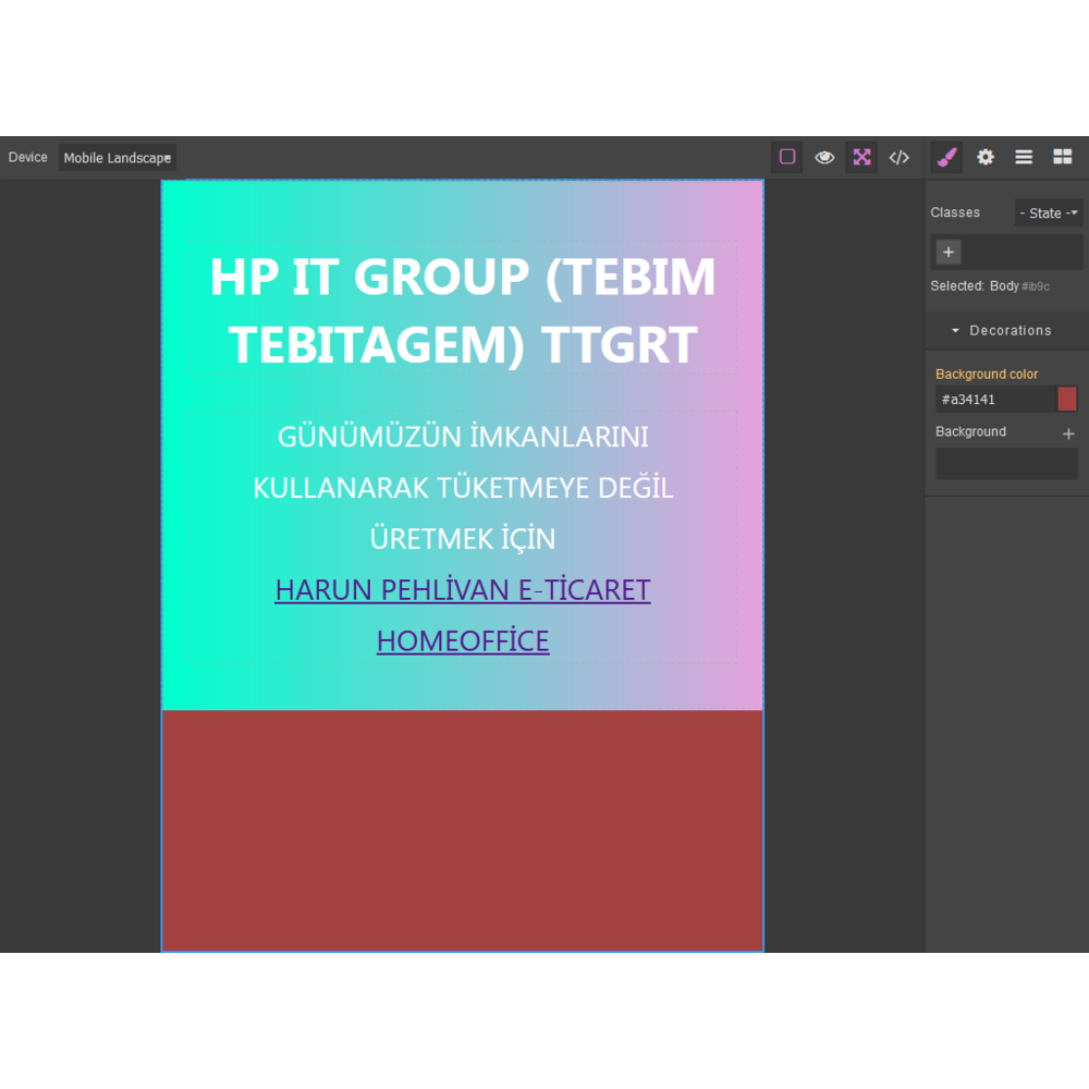  WEB EDİTÖR 