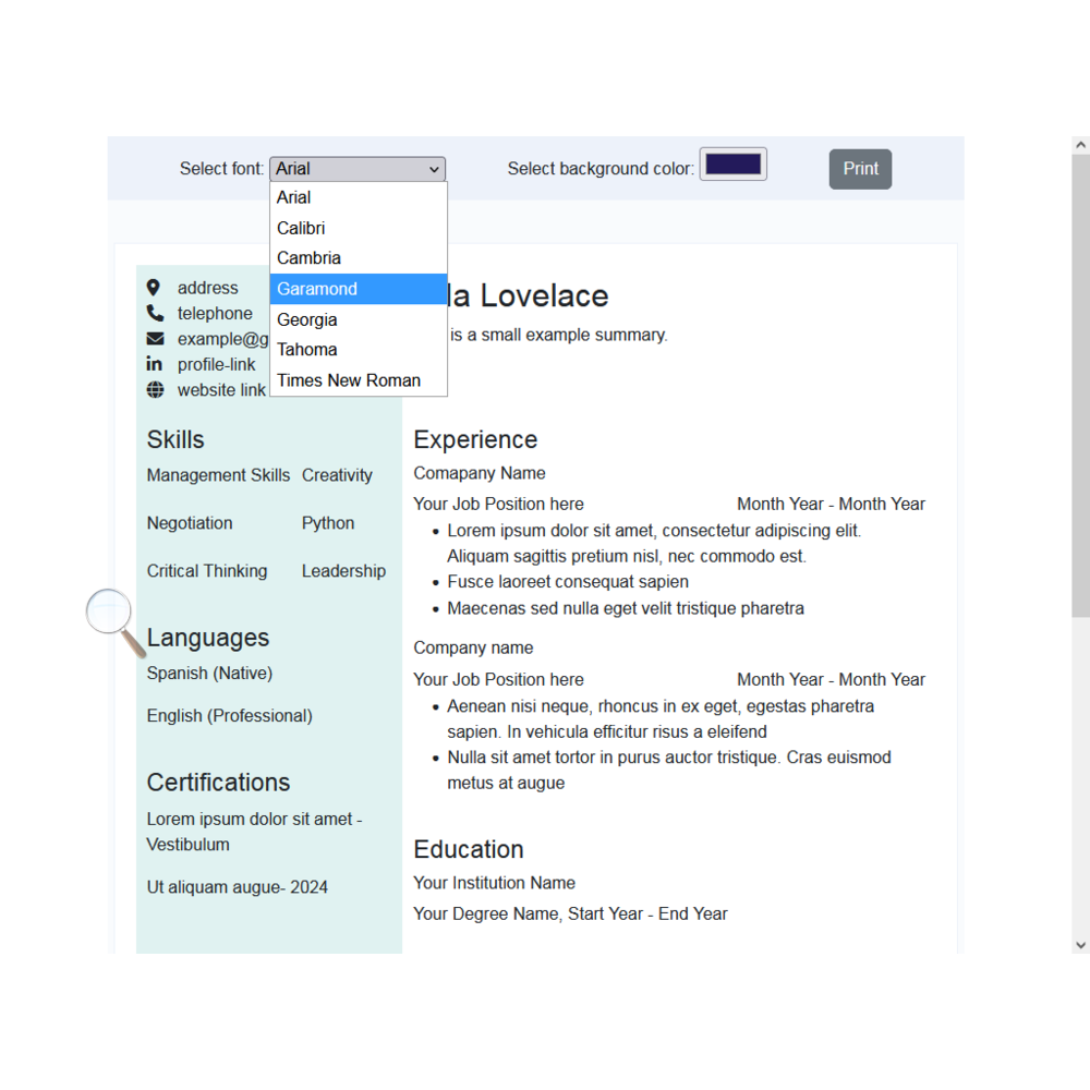  CV Editor