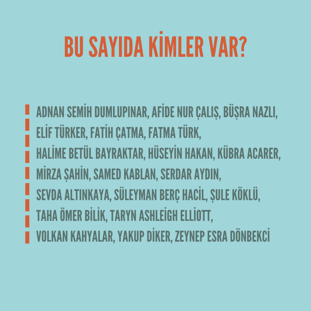Hisdüşüm Dergisi 22. Sayı (Dijital Format)