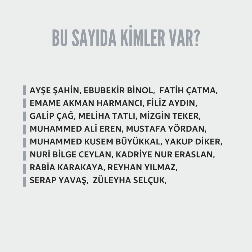 Hisdüşüm Dergisi 26. Sayı (Dijital Format)