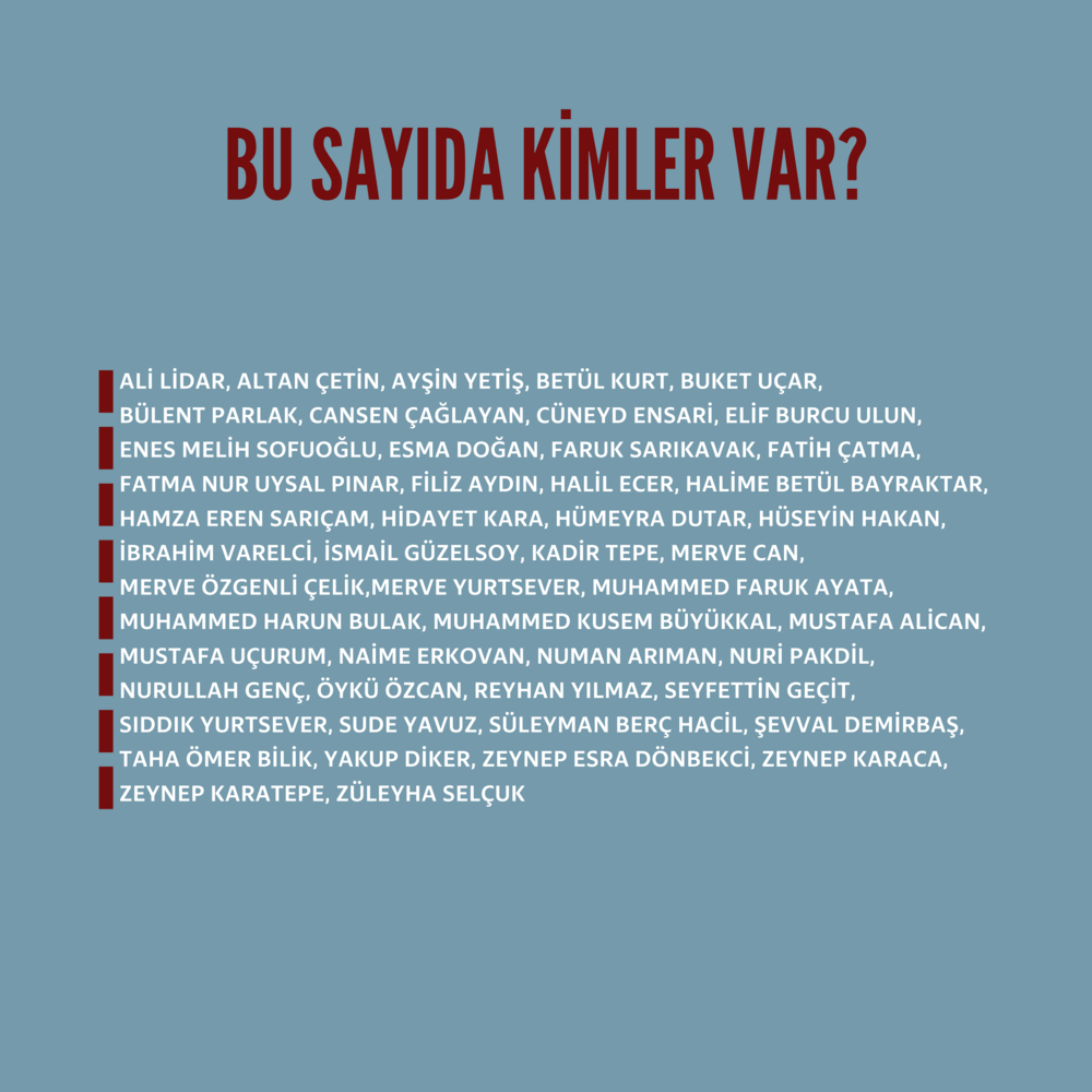  Hisdüşüm Dergisi 23-24. Sayı (5. Yıl Özel Sayısı Dijital Format)