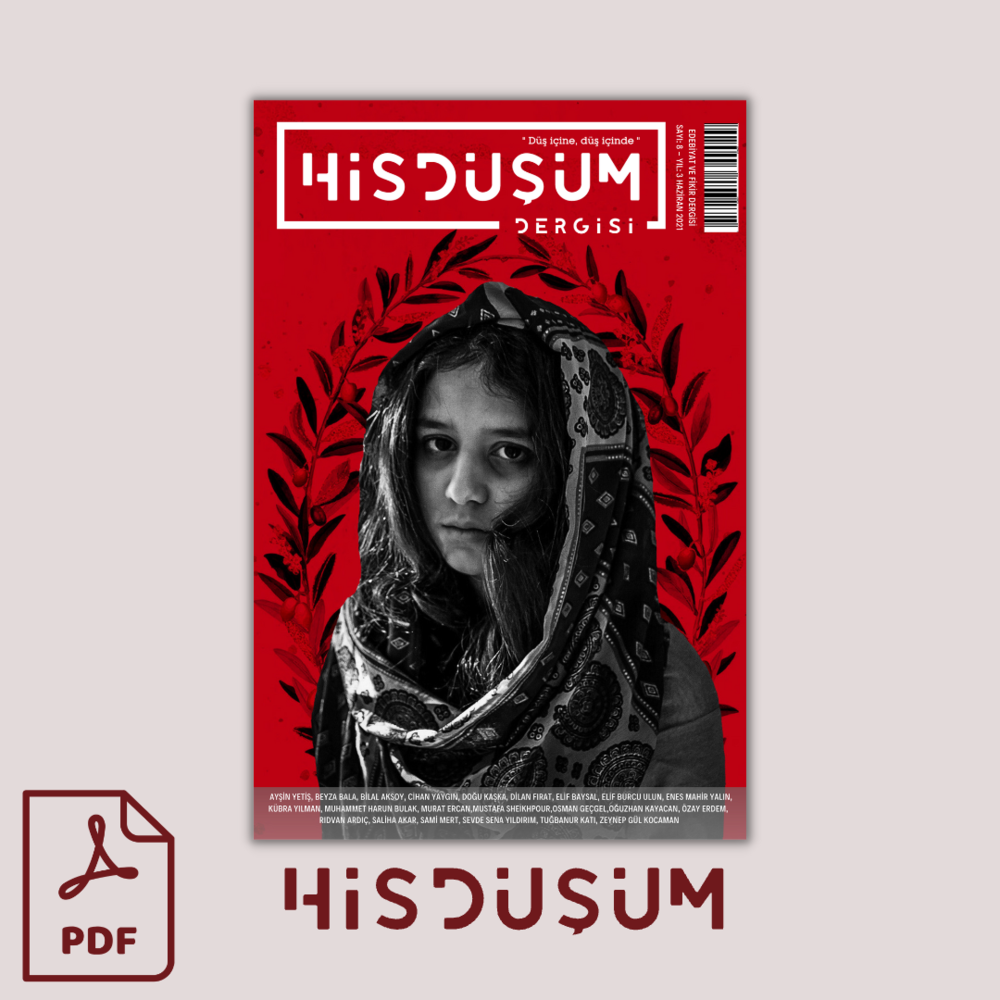  Hisdüşüm Dergisi 8. Sayı (Dijital Format)