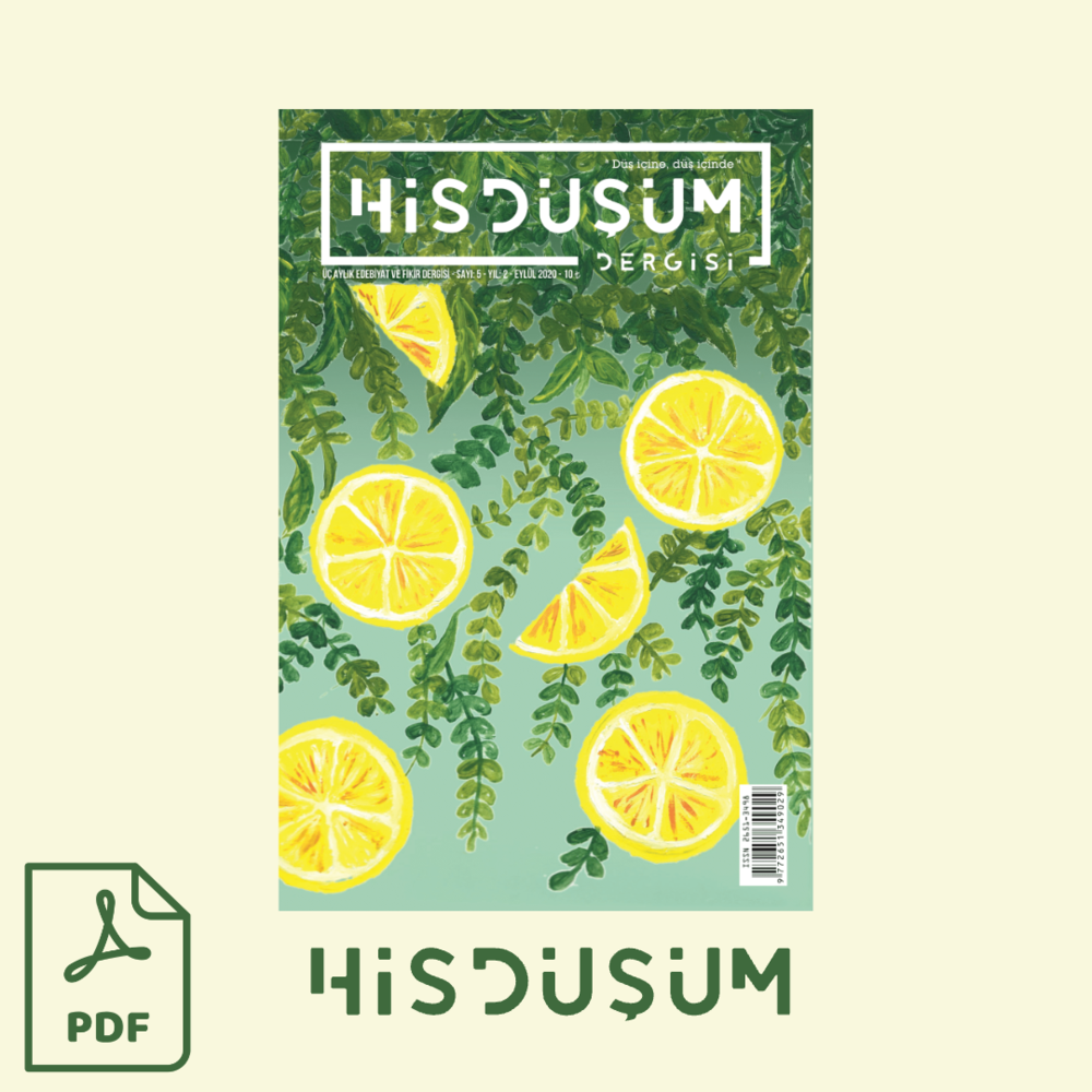 Hisdüşüm Dergisi 5. Sayı (Dijital Format) 