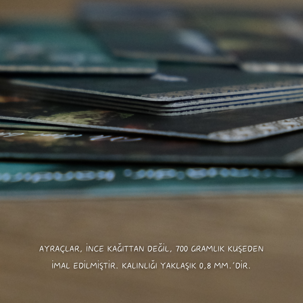 3'lü Kitap Ayracı Seti - 3