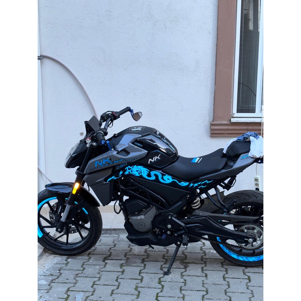 250NK DRAGON | izm sticker