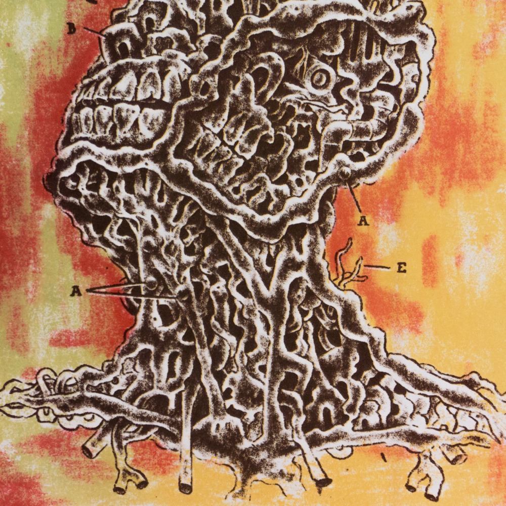 Delicate chaos of interdependent system is failed, 2025