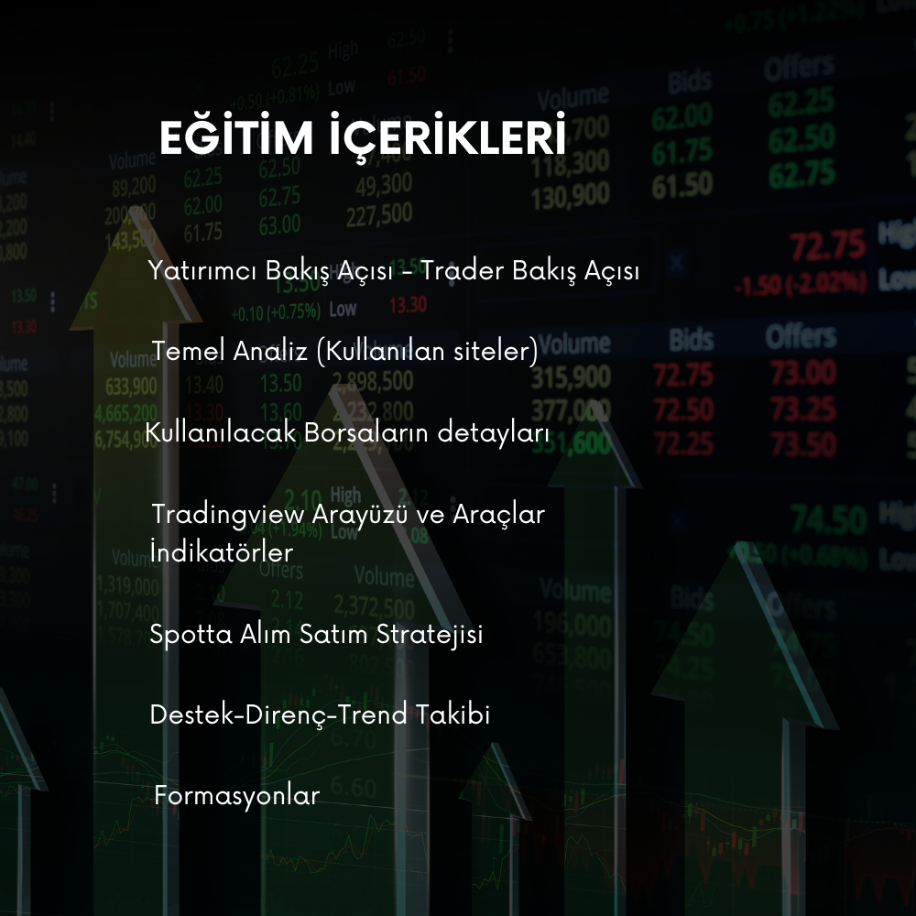 Sıfırdan İleri Seviye Profesyonel Trade Eğitimi 