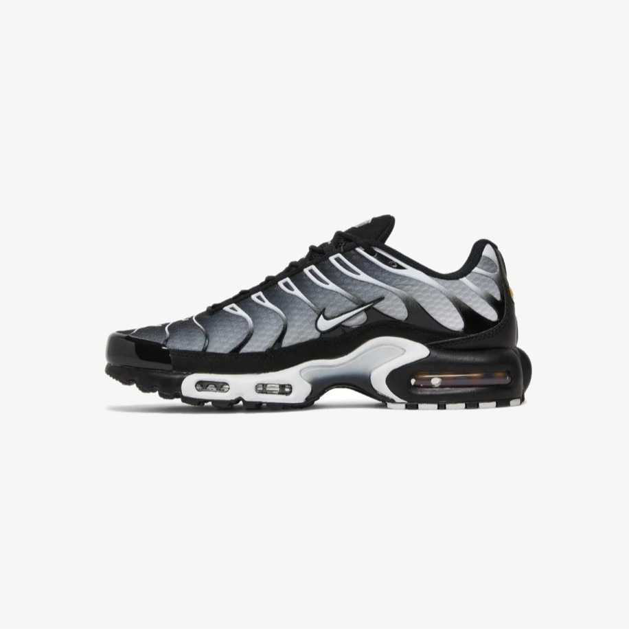 Nike Air Max TN Plus Metallic Silver 1