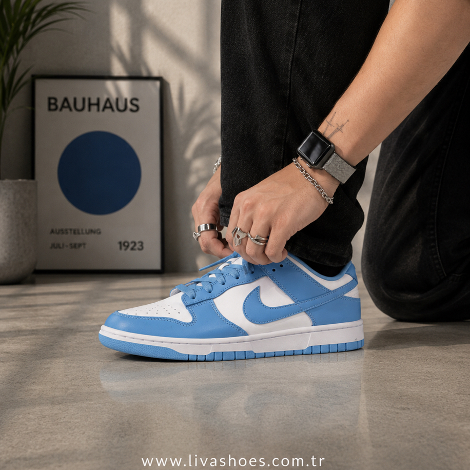 Nike Dunk Low Blue UNC 1