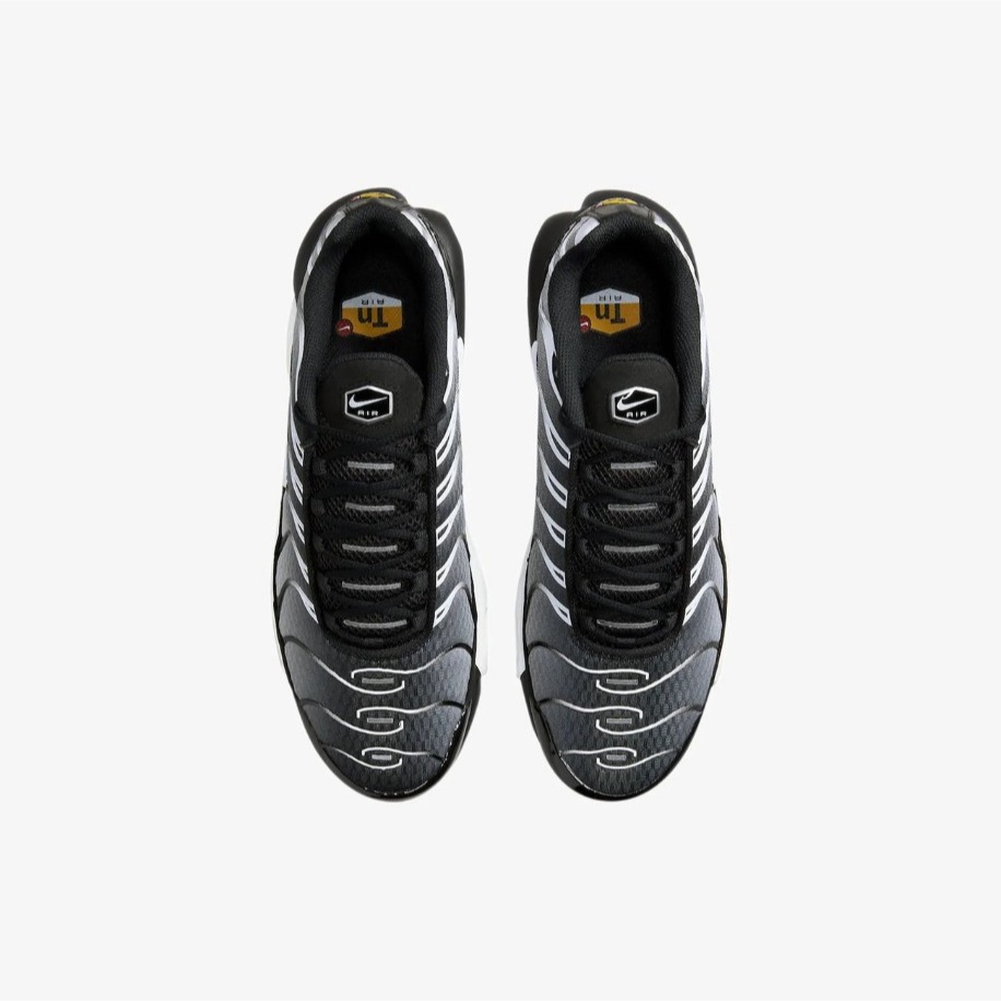 Nike Air Max TN Plus Metallic Silver 2