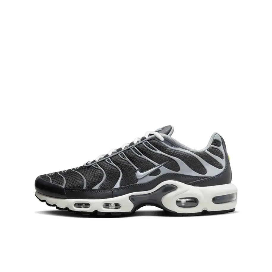 Nike Air Max Plus TN Iron Grey 1