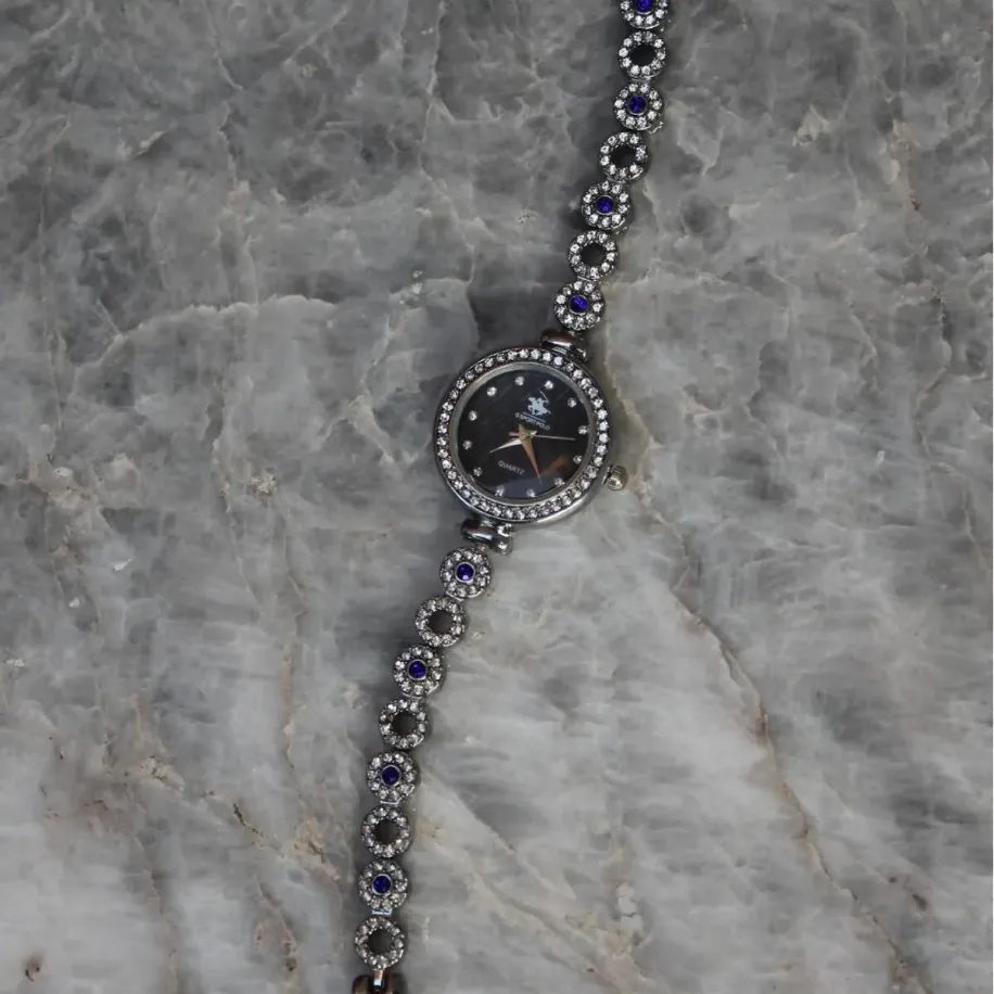 Bella Rosa Blue Oval Taşlı Silver Detaylı Kadın Saat