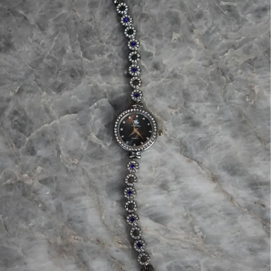 Bella Rosa Blue Oval Taşlı Silver Detaylı Kadın Saat