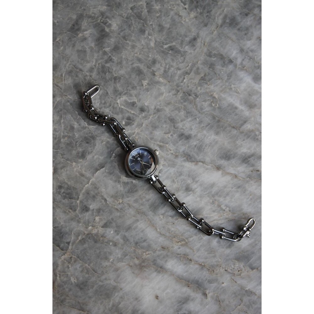  Midnight Silver Oval Kadranlı Çelik Kadın Saat