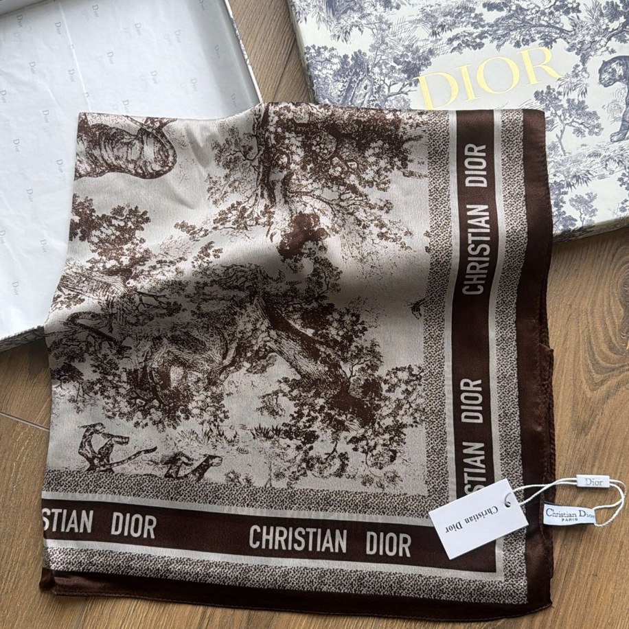 Dior Scarf 