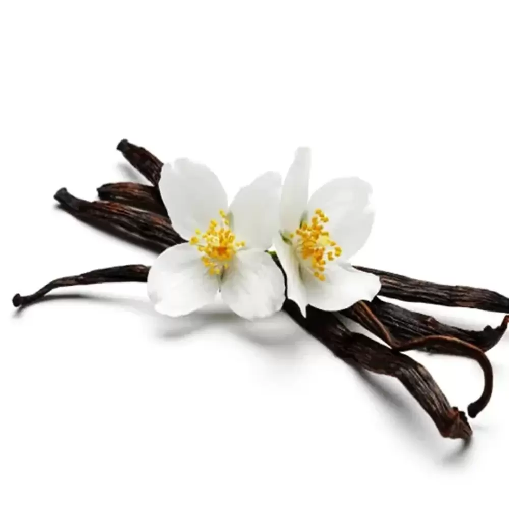 VANİLYA  3 ML Naturel
