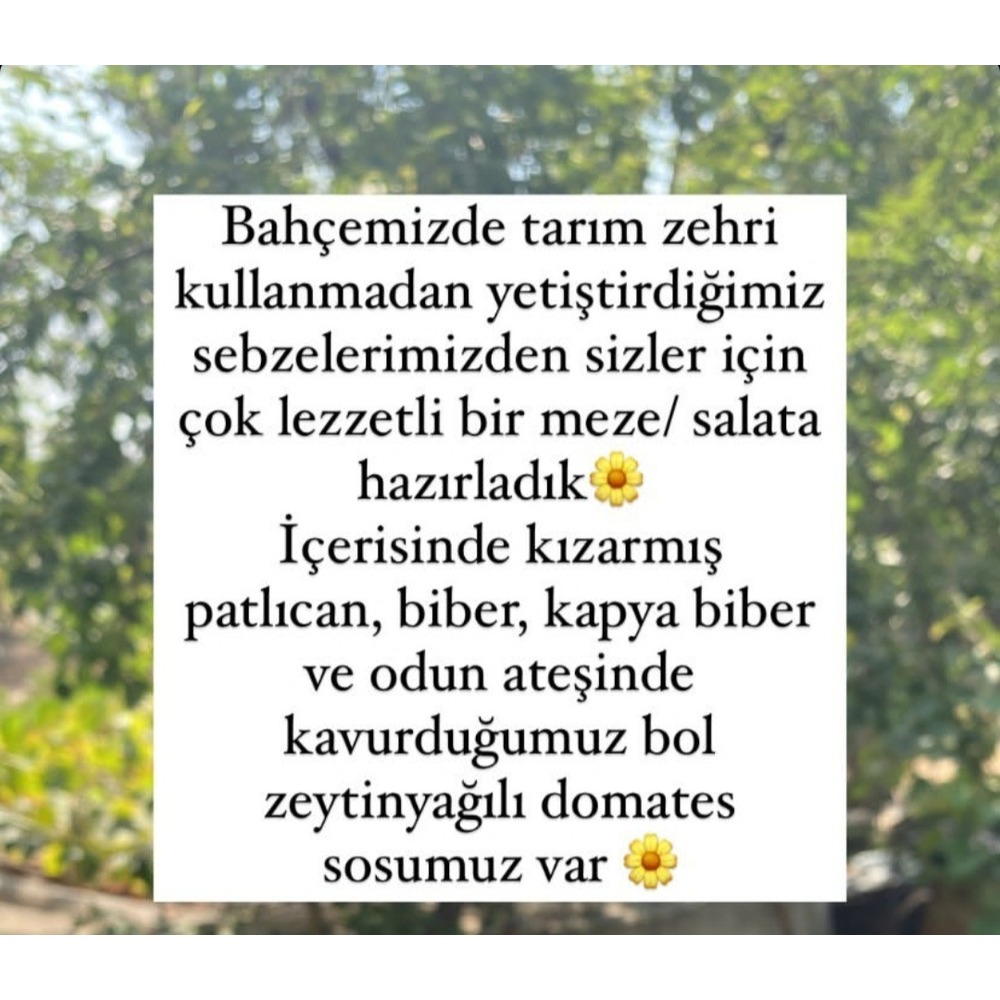 Yaz Kızartması ( şakşuka)  (370 cc) 