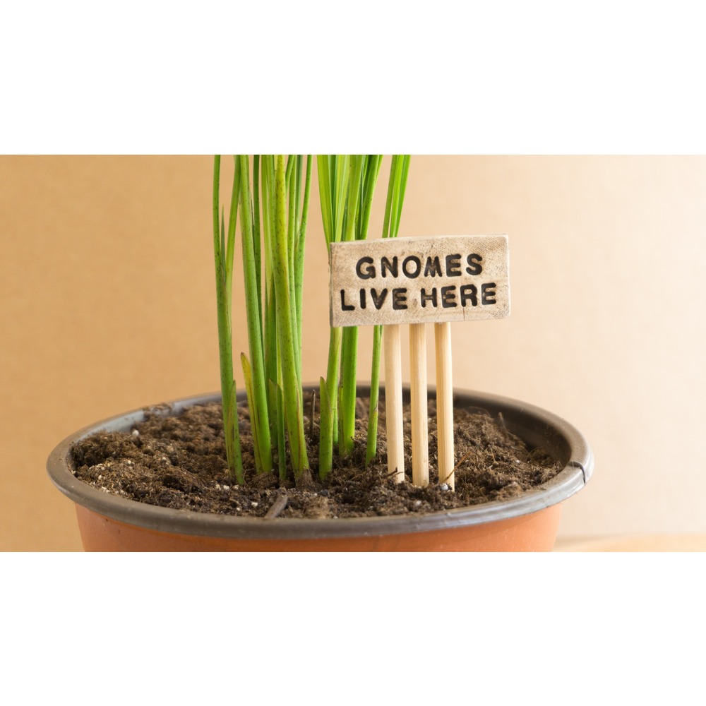 Gnomes Live Here