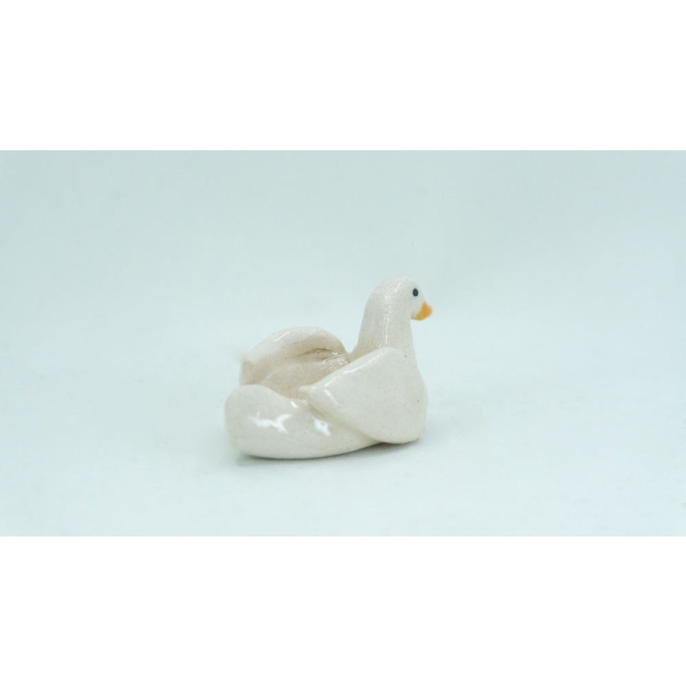 Mini Duck