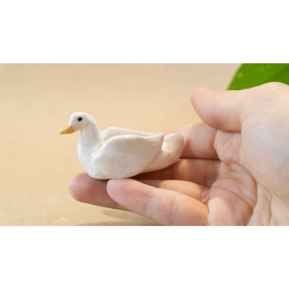 Mini Duck