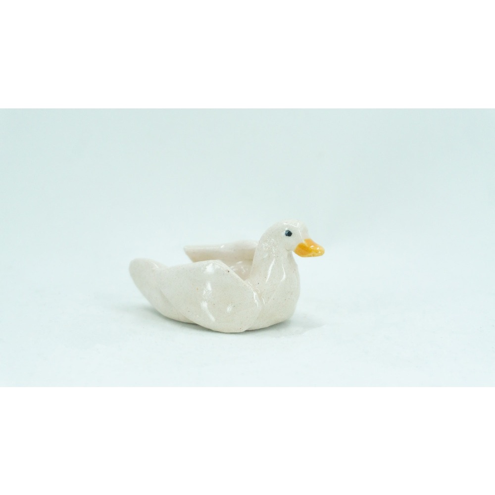Mini Duck