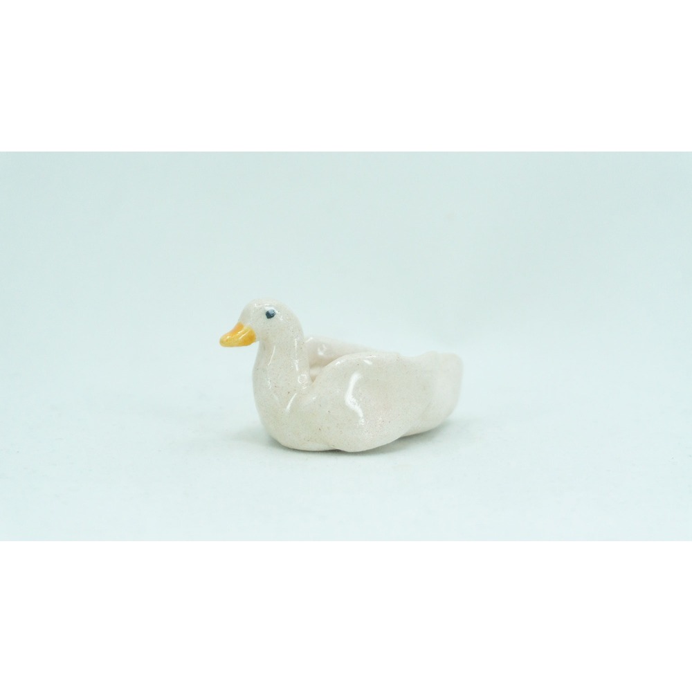 Mini Duck