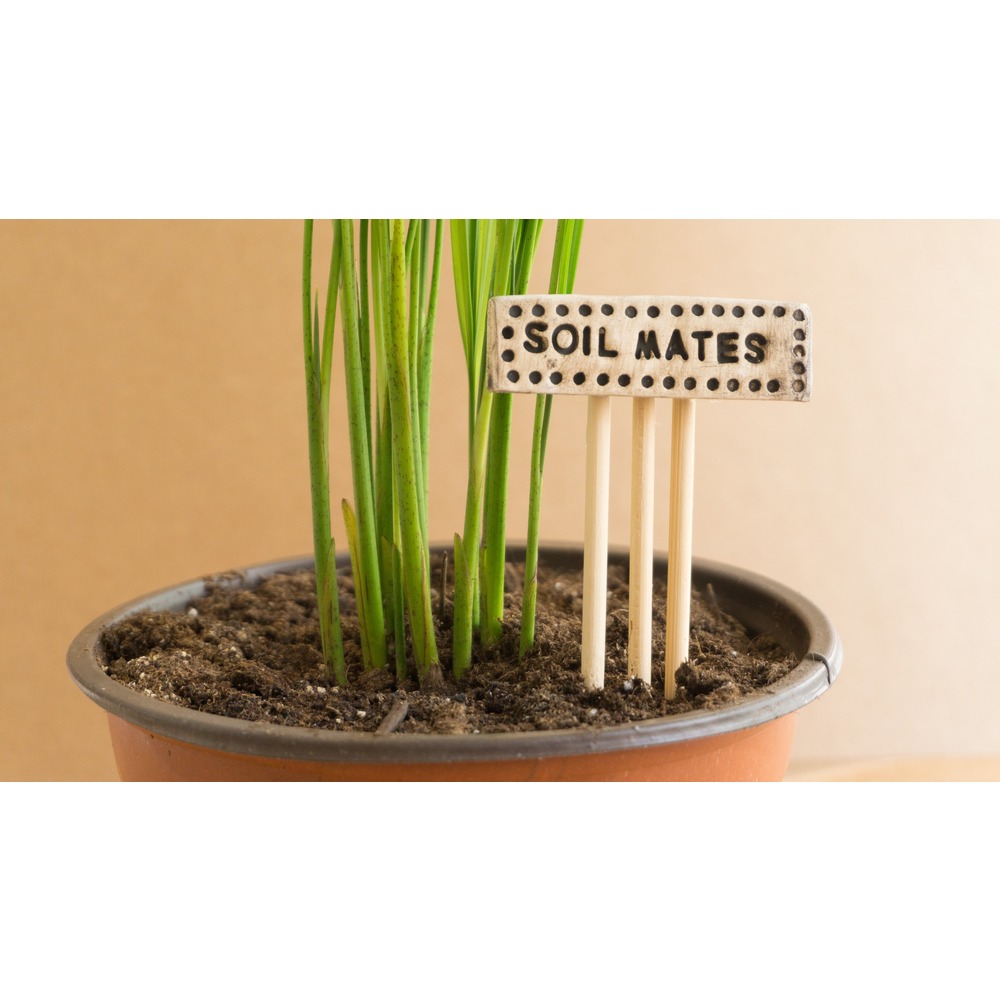 Soilmates