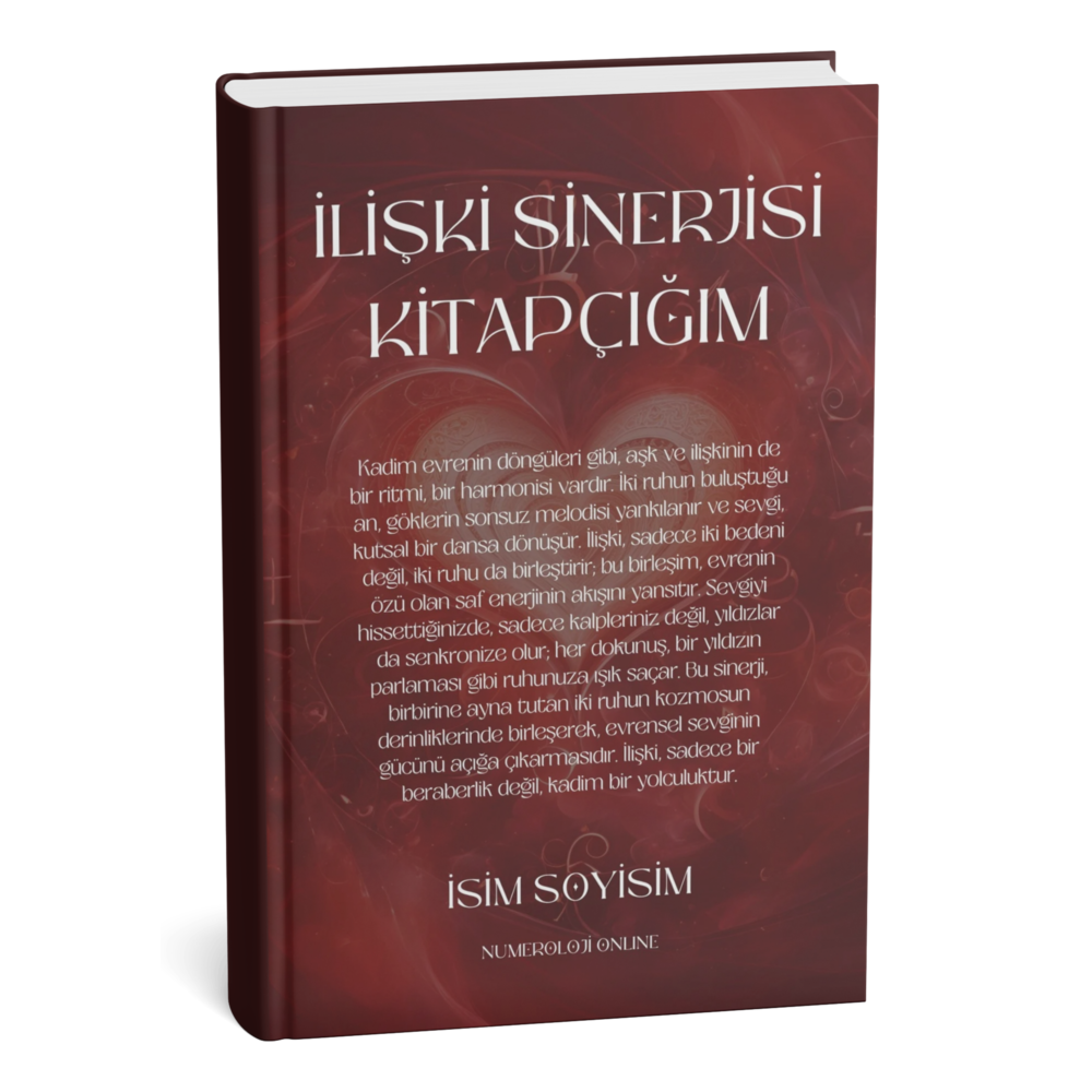 İlişki Sinerjisi Analizi Kitapçığı