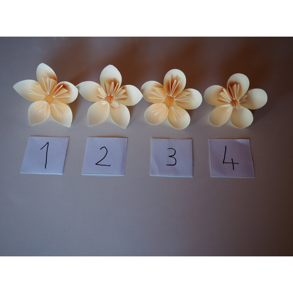 Origami Sakura Çiçeği 