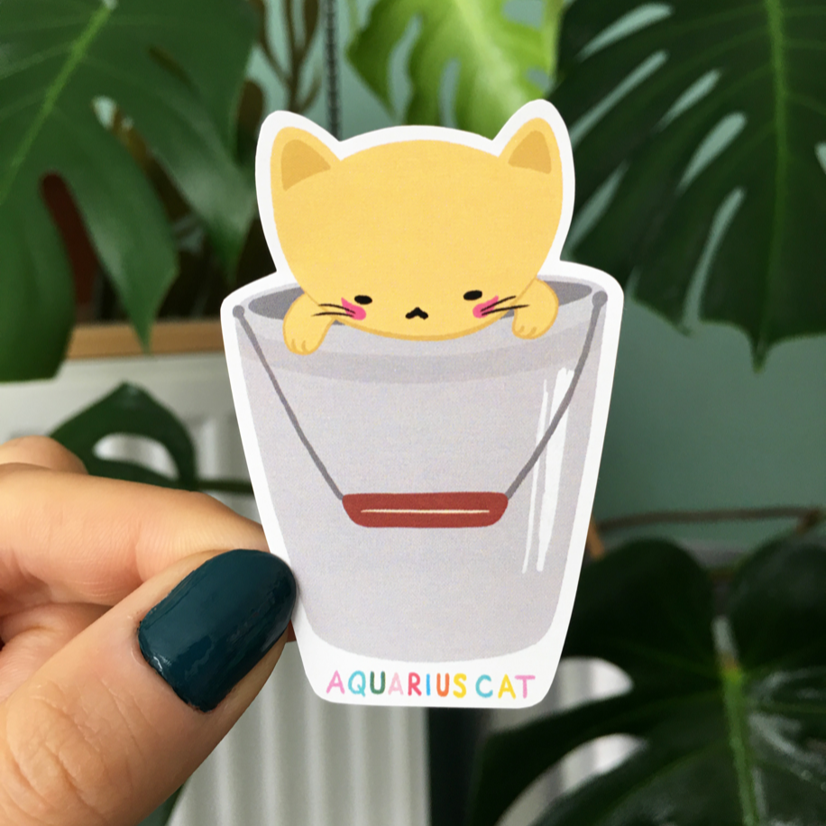 Kova Burcu Kedi Sticker