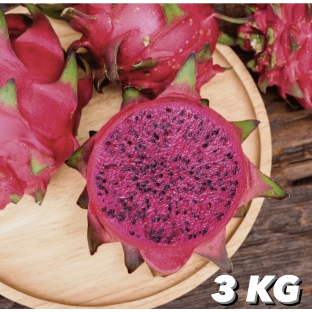 3 KİLOGRAM - EJDER MEYVESİ