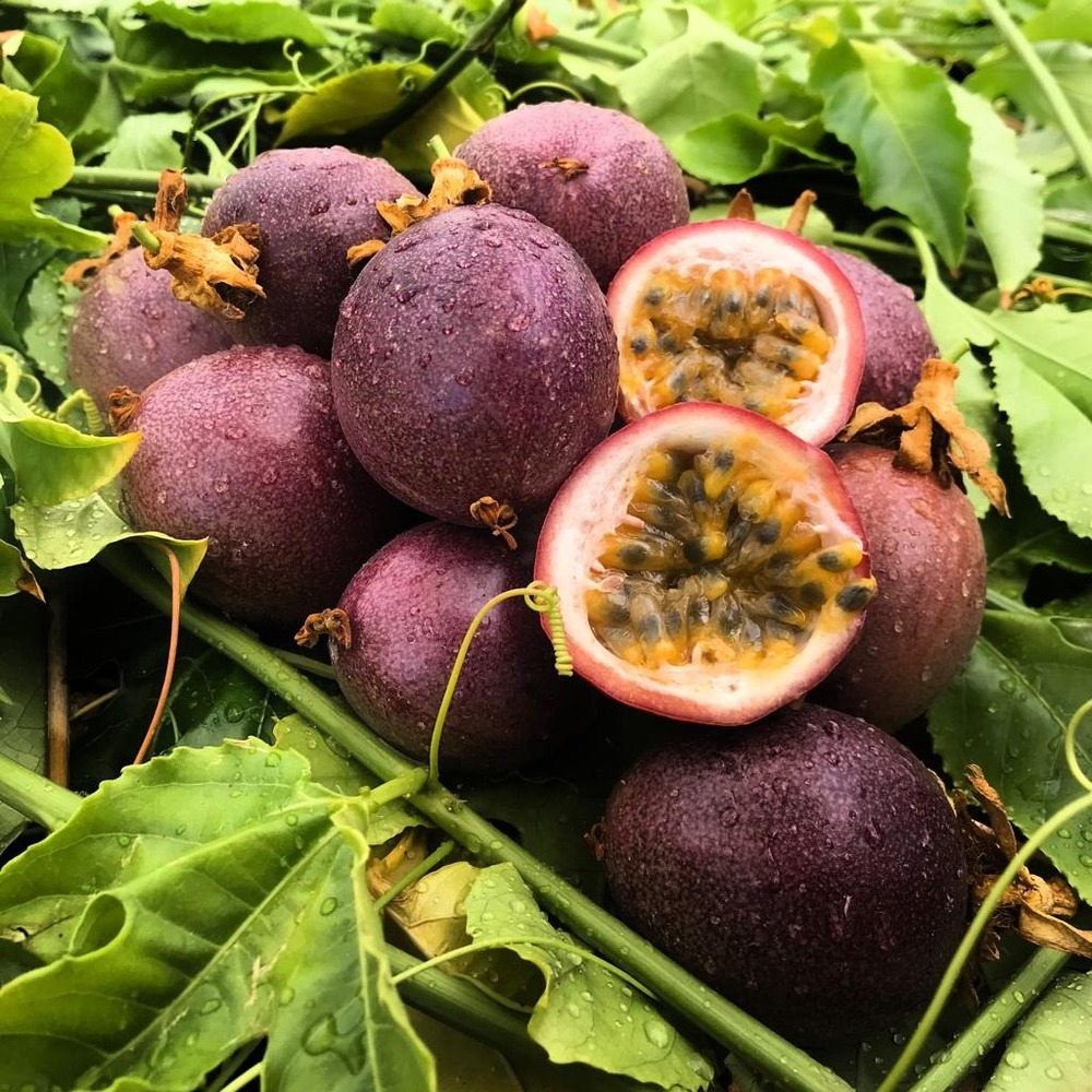 5 KİLOGRAM  - Passiflora Çarkıfelek Meyvesi
