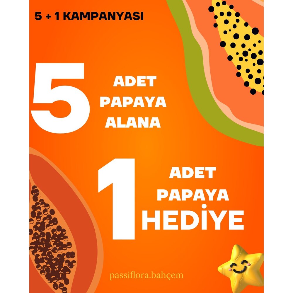 5 + 1 KAMPANYASI