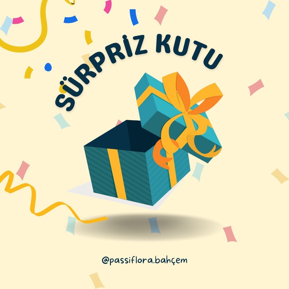 Sürpriz Kutu