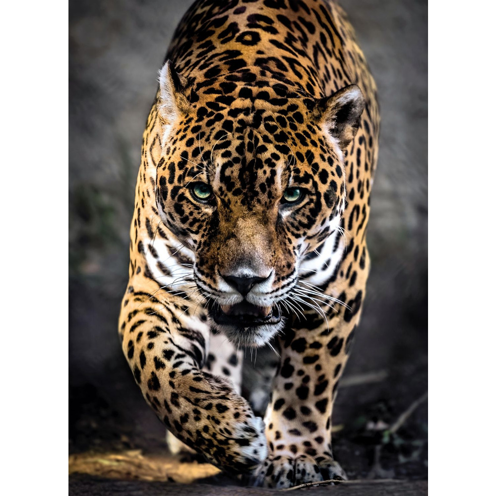 Clementoni ''Walk of the Jaguar'' 1000 Parça