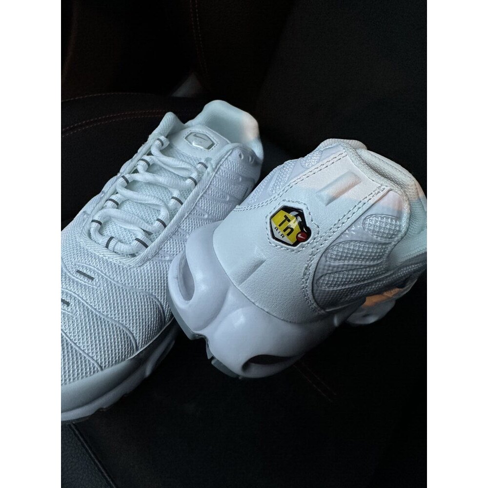 Nike Air Max Plus TN 'Triple White' 8419