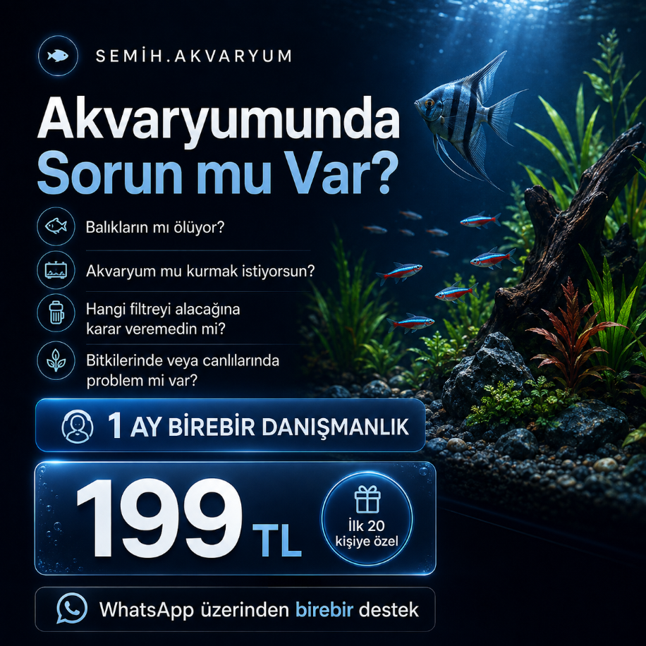 1 Ay Birebir Akvaryum Danışmanlığı | Sorununu Birlikte Çözelim (Hızlı Geri Dönüş)