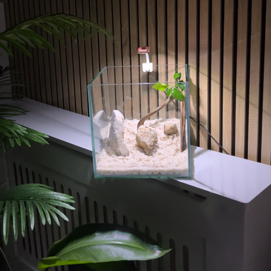 25x25x25 Ultra Clear Betta Akvaryumu – Komple Set