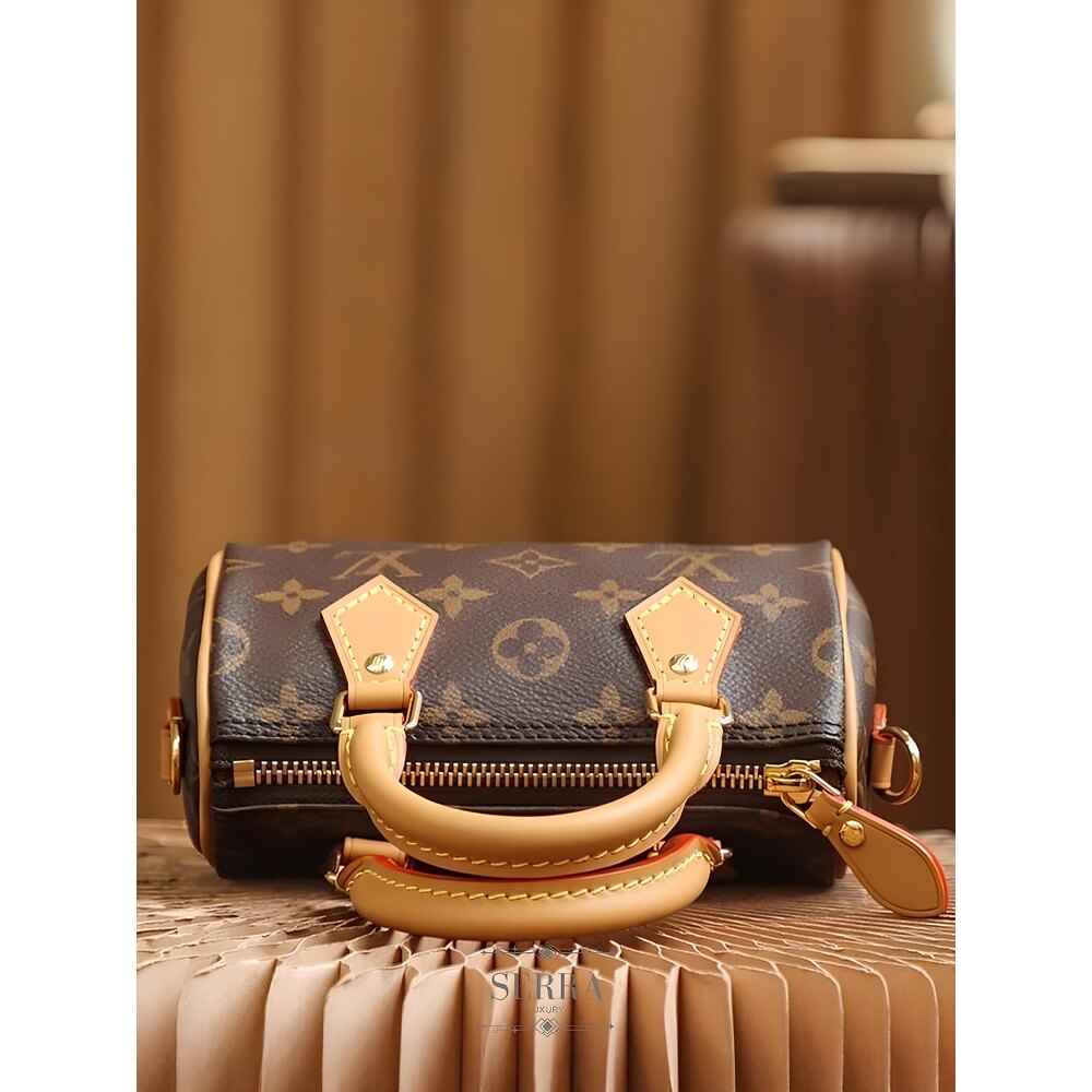 Nano Speedy Louis Vuitton Little Handbag Louis Vuitton Mini Speedy