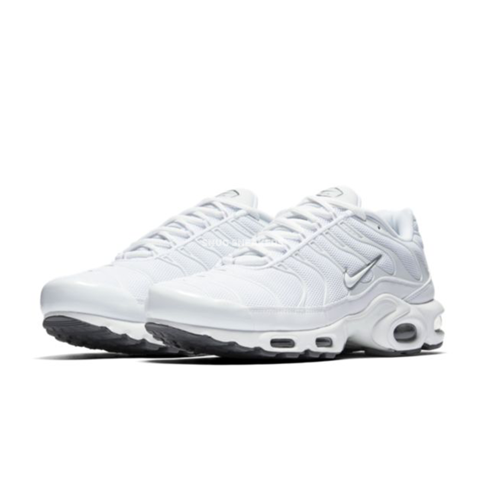 Nike Air Max Plus White