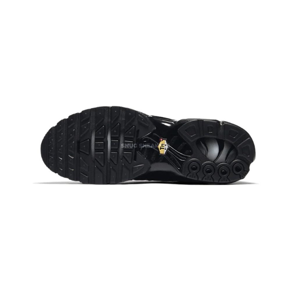 Nike Air Max Plus Triple Black