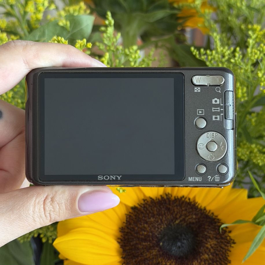 Sony Cybershot DSC W570 | Soho camera
